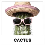 MacDiyer: Cactus 10ml