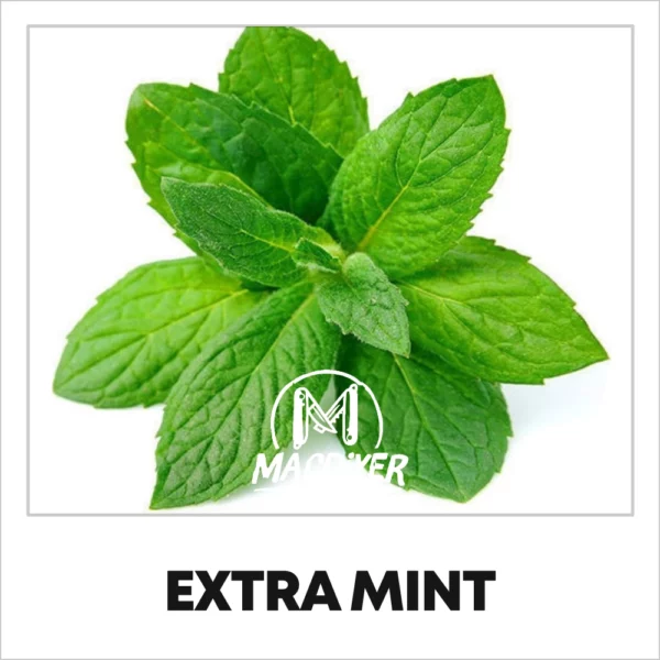 Macdiyer Extra Mint 10ml makutiiviste