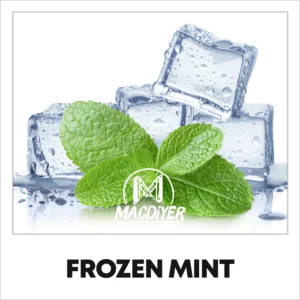 Macdiyer Frozen Mint 10ml makutiiviste