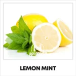 MacDiyer: Lemon Mint 10ml