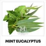 MacDiyer: Mint Eucalyptus 10ml