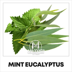 Macdiyer Mint Eucalyptus 10ml makutiiviste