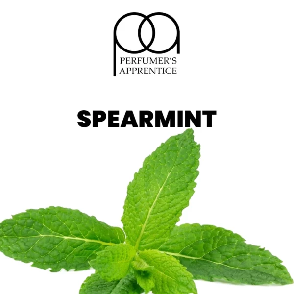 The Flavor Apprentice Spearmint 15ml makutiiviste